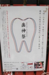 takemura4.jpg
